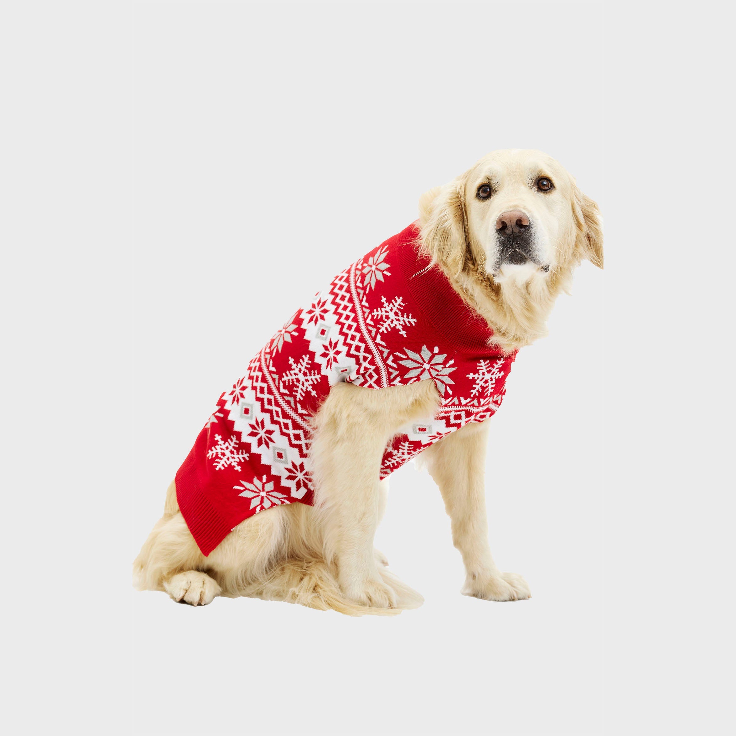 Den söta hund jultröja